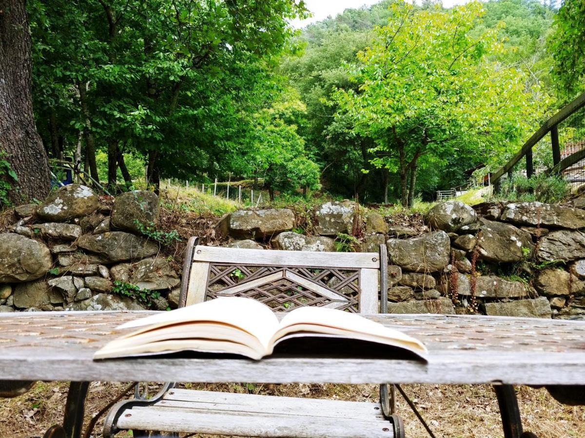 Agricamping Ponteraggio N.1 Otel Dolceacqua Dış mekan fotoğraf