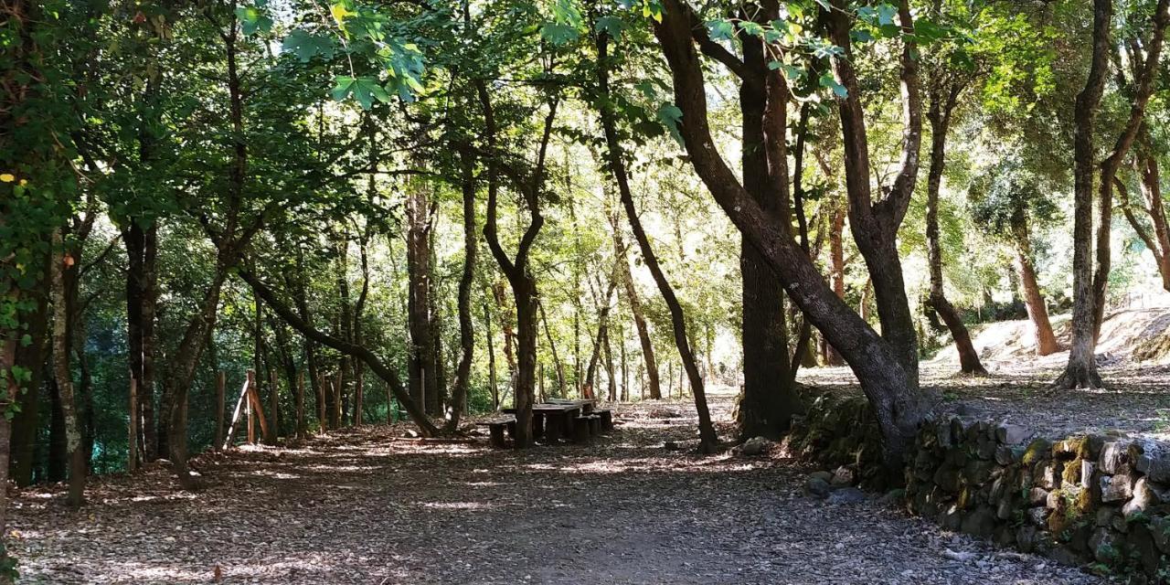Agricamping Ponteraggio N.1 Otel Dolceacqua Dış mekan fotoğraf