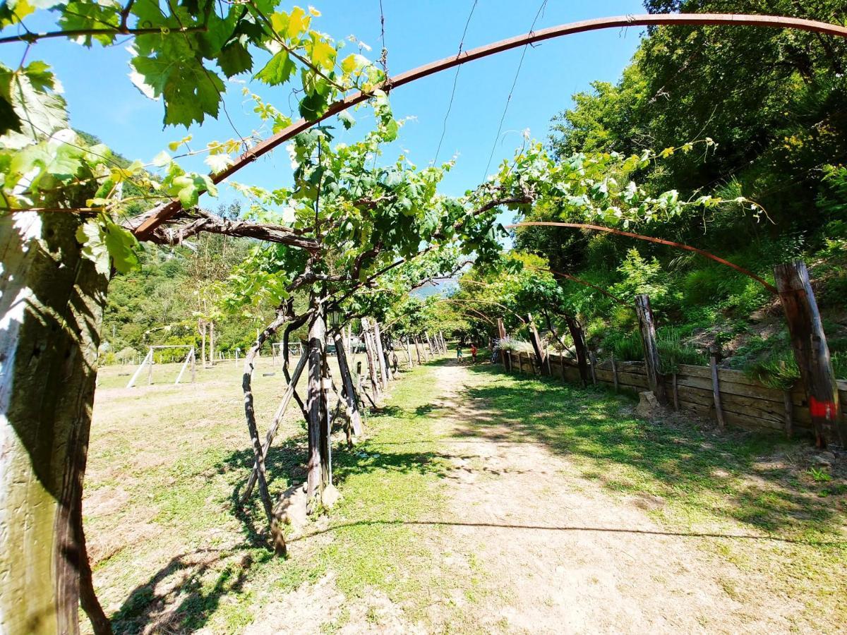 Agricamping Ponteraggio N.1 Otel Dolceacqua Dış mekan fotoğraf