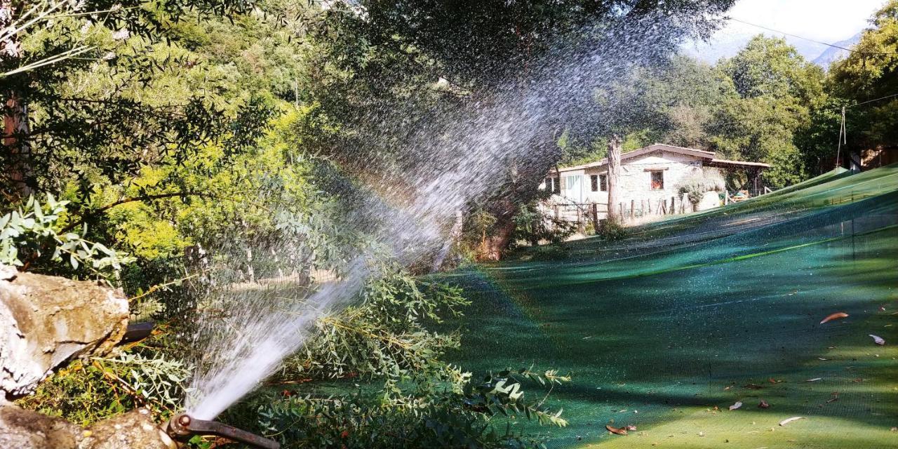 Agricamping Ponteraggio N.1 Otel Dolceacqua Dış mekan fotoğraf