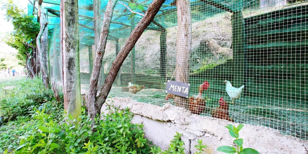 Agricamping Ponteraggio N.1 Otel Dolceacqua Dış mekan fotoğraf