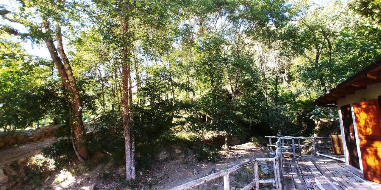 Agricamping Ponteraggio N.1 Otel Dolceacqua Dış mekan fotoğraf