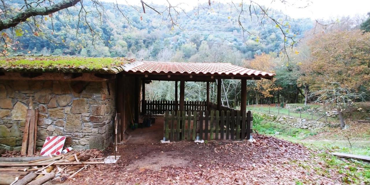 Agricamping Ponteraggio N.1 Otel Dolceacqua Dış mekan fotoğraf