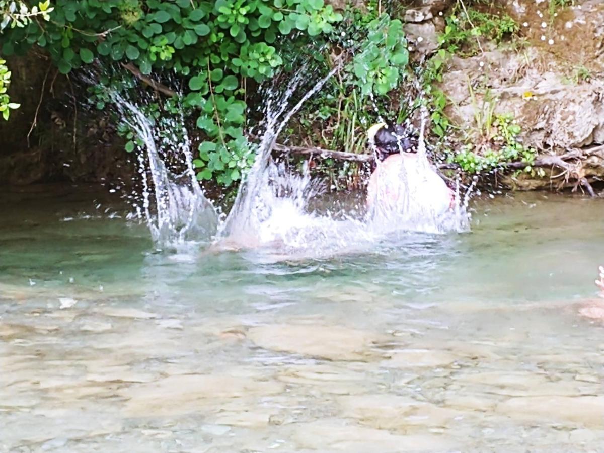 Agricamping Ponteraggio N.1 Otel Dolceacqua Dış mekan fotoğraf