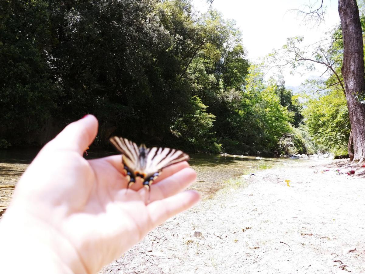 Agricamping Ponteraggio N.1 Otel Dolceacqua Dış mekan fotoğraf