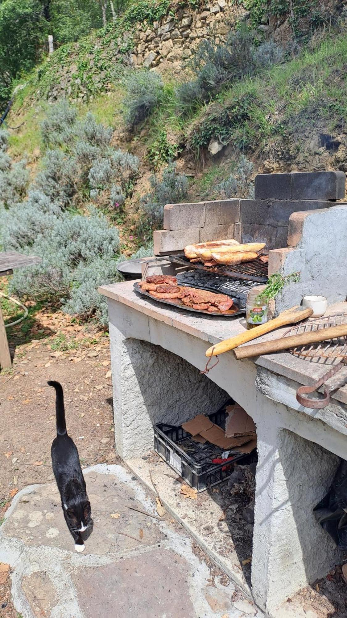Agricamping Ponteraggio N.1 Otel Dolceacqua Dış mekan fotoğraf